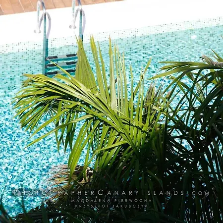 Appartamento Il Sofisticato - Luxury Swimming Pool View *